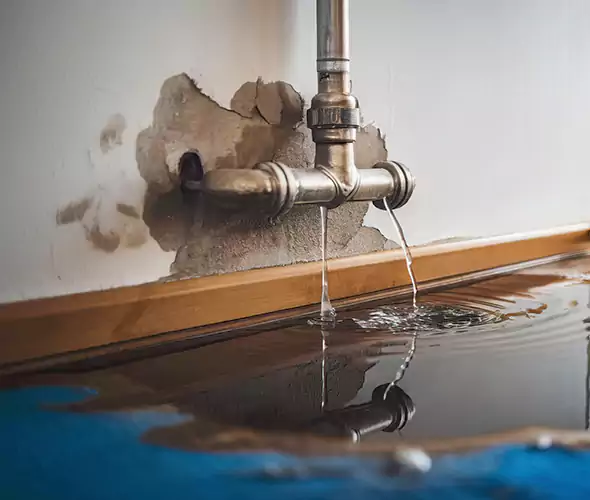 Professional Water Damage Restoration Experts in Buckeye, AZ — Fast, Reliable & Certified