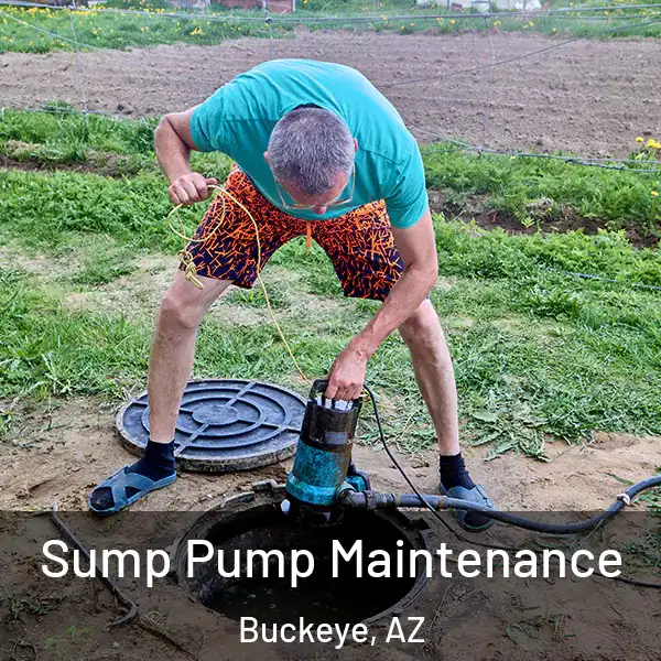  Sump Pump Maintenance Buckeye, AZ