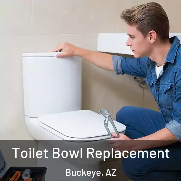  Toilet Bowl Replacement Buckeye, AZ